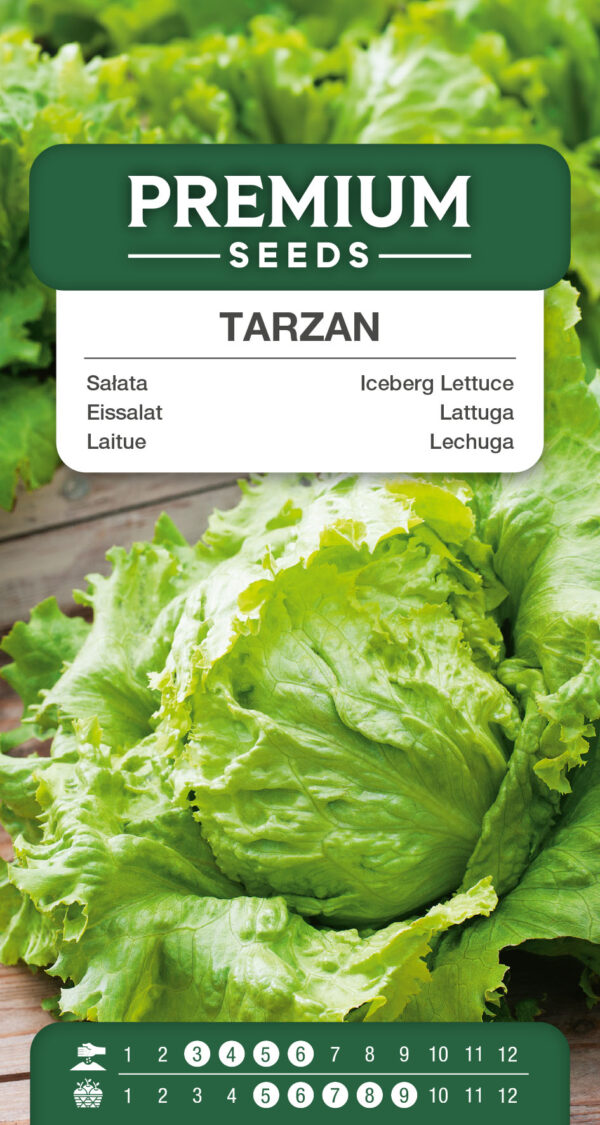 Sałata Tarzan 1g