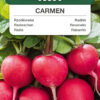 Rzodkiewka Carmen 10g