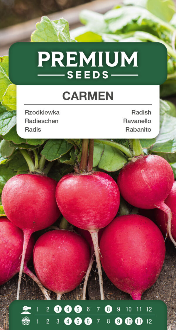 Rzodkiewka Carmen 10g