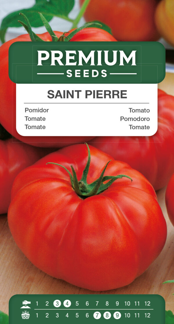 Pomidor Saint Pierre wysoki 0,5g