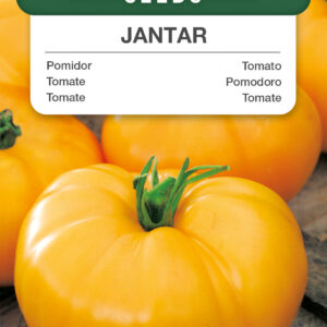 Pomidor Jantar wysoki 0,5g