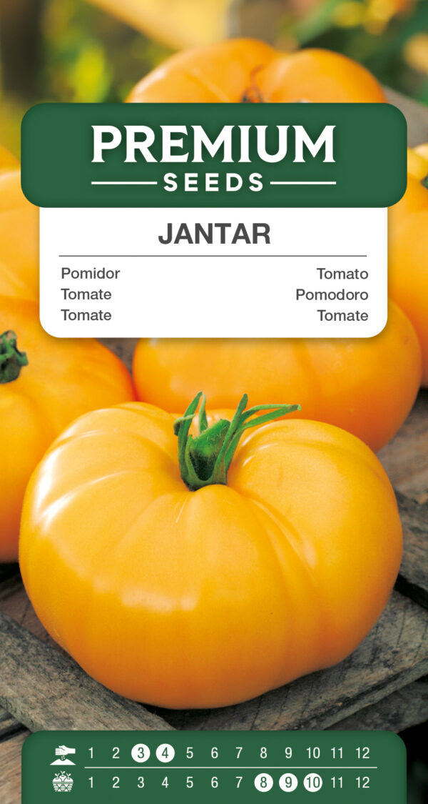 Pomidor Jantar wysoki 0,5g