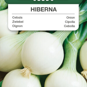 Cebula zimowa Hiberna 2g