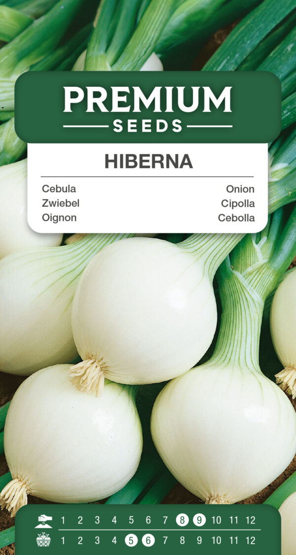 Cebula zimowa Hiberna 2g