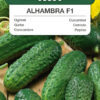 Ogórek Alhambra F1 3g