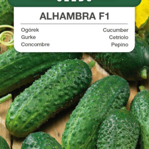 Ogórek Alhambra F1 3g
