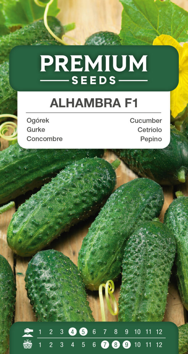 Ogórek Alhambra F1 3g