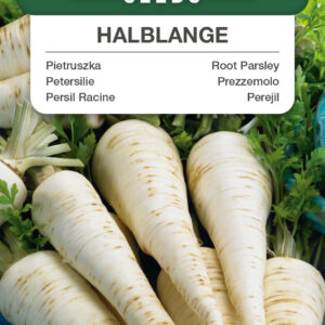 Pietruszka Berlińska - Halblange 5g