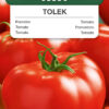 Pomidor Tolek wysoki 0,1g