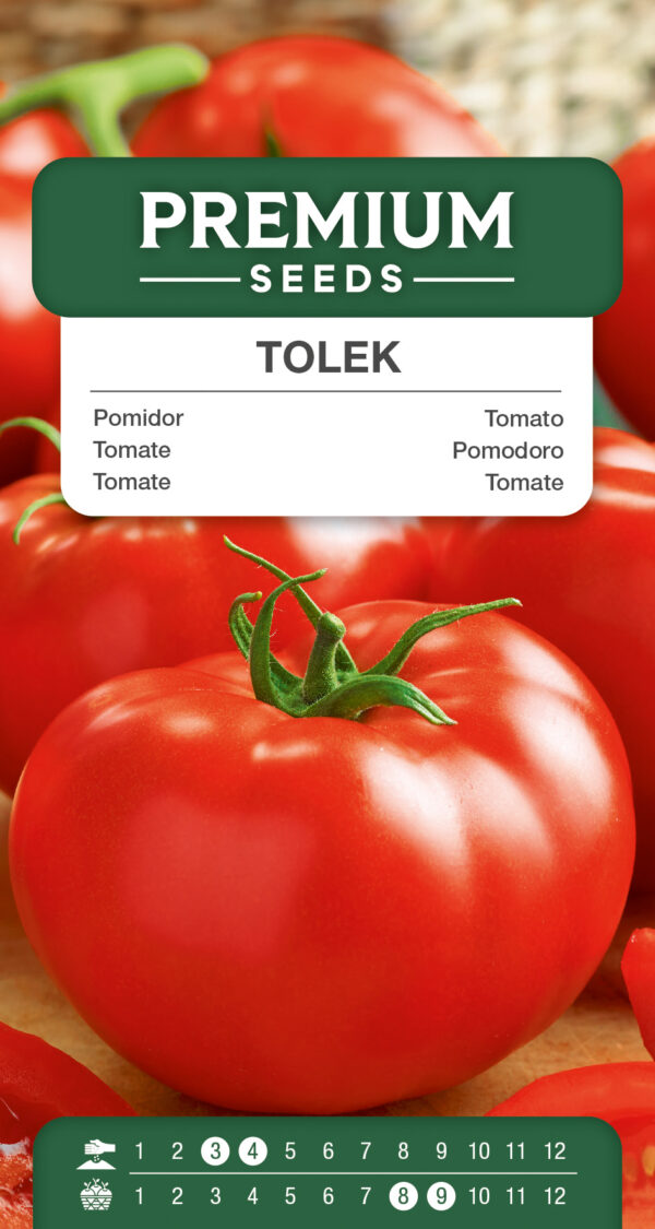 Pomidor Tolek wysoki 0,1g