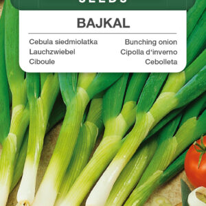 Cebula siedmiolatka Bajlkal 2g