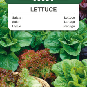Sałata - mieszanka odmian 1g