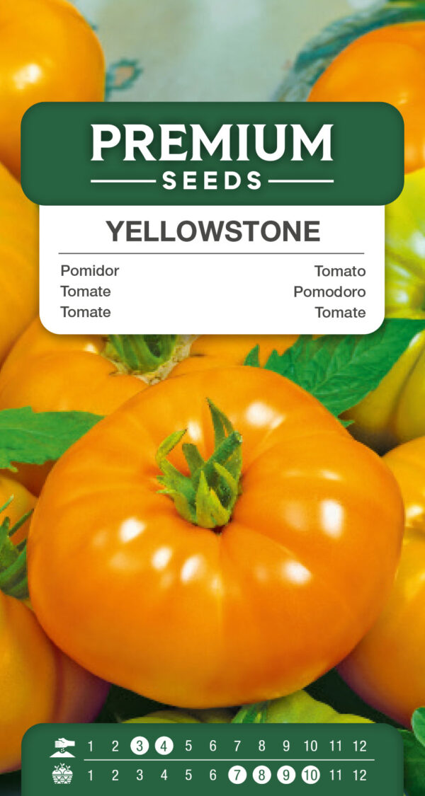 Pomidor Yellowstone wysoki 0,2g