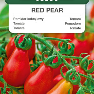 Pomidor Pomidor Red Pear wysoki typ cherry 0,1g