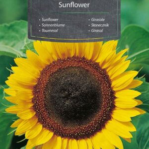 Słonecznik ogrodowy jadalny