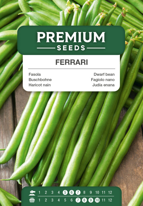 Fasola szparagowa Ferrari 30g