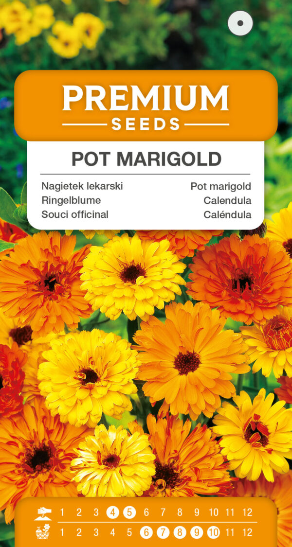 Nagietek lekarski