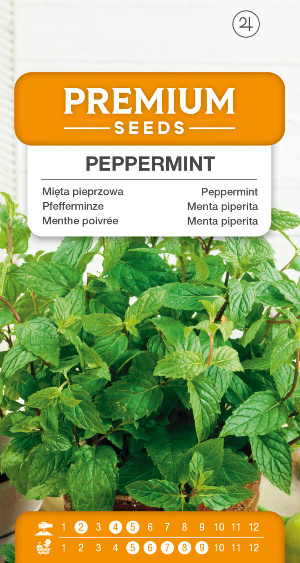 Mięta pieprzowa 0,1g