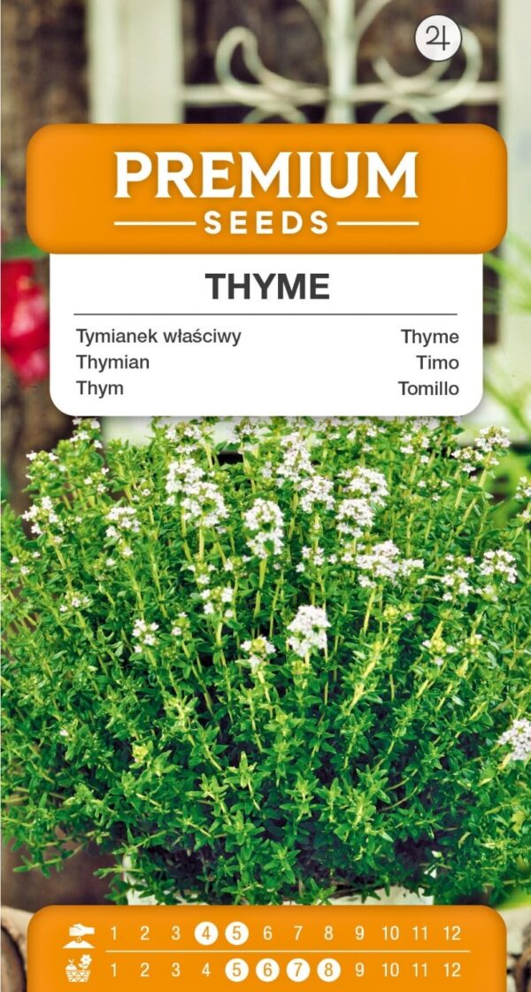 Tymianek właściwy