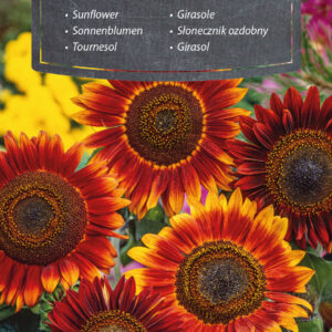 Słonecznik ozdobny Evening Sun 2g