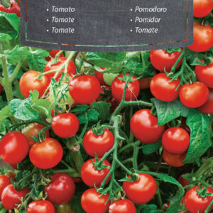 Pomidor Vilma niski typ cherry 0,2g