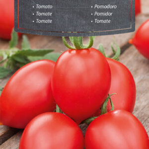 Pomidor Malinowy Smaczek wysoki typ cherry 0,1g