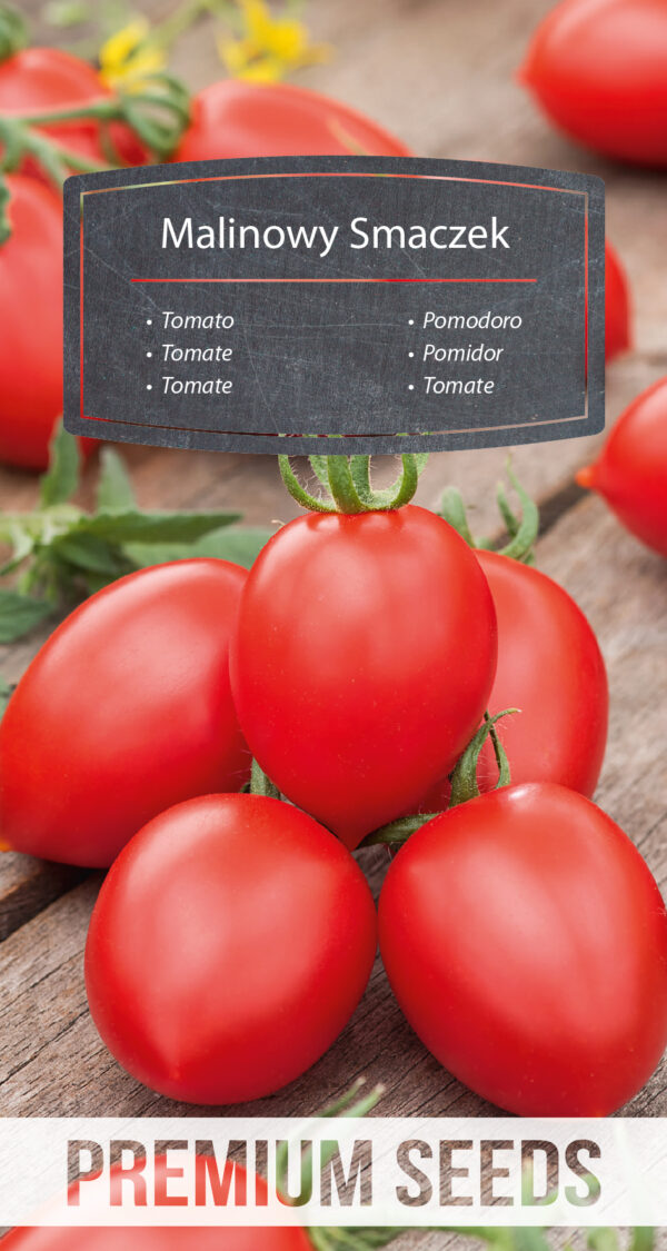 Pomidor Malinowy Smaczek wysoki typ cherry 0,1g