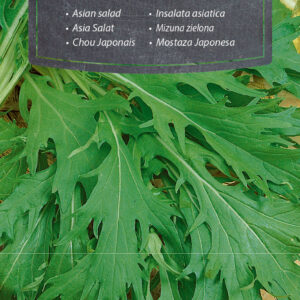 Mizuna Zielona