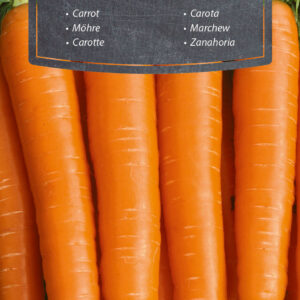 Marchew Nantaise 2 5g