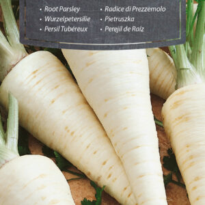 Pietruszka Cukrowa 5g