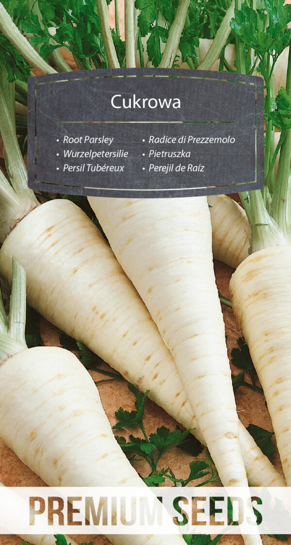 Pietruszka Cukrowa 5g