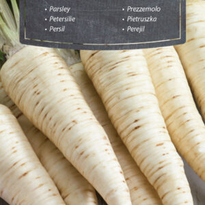 Pietruszka Ołomuńcka 5g