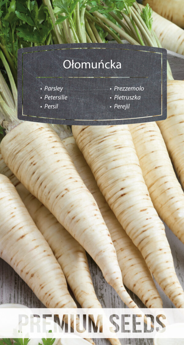 Pietruszka Ołomuńcka 5g