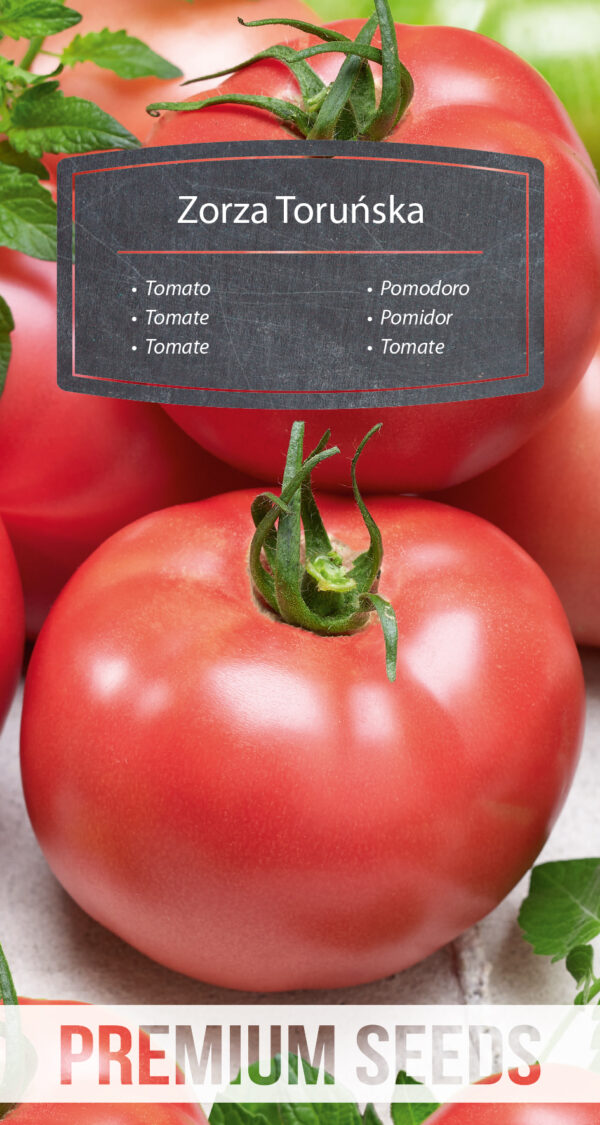 Pomidor Zorza Toruńska wysoki 0,5g