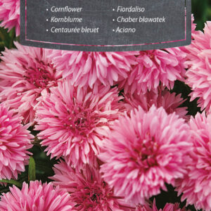 Chaber bławatek różowy 0,6g